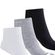 topper-medias----160848-PACK-X-3-CAñA-BAJA---Talle-U